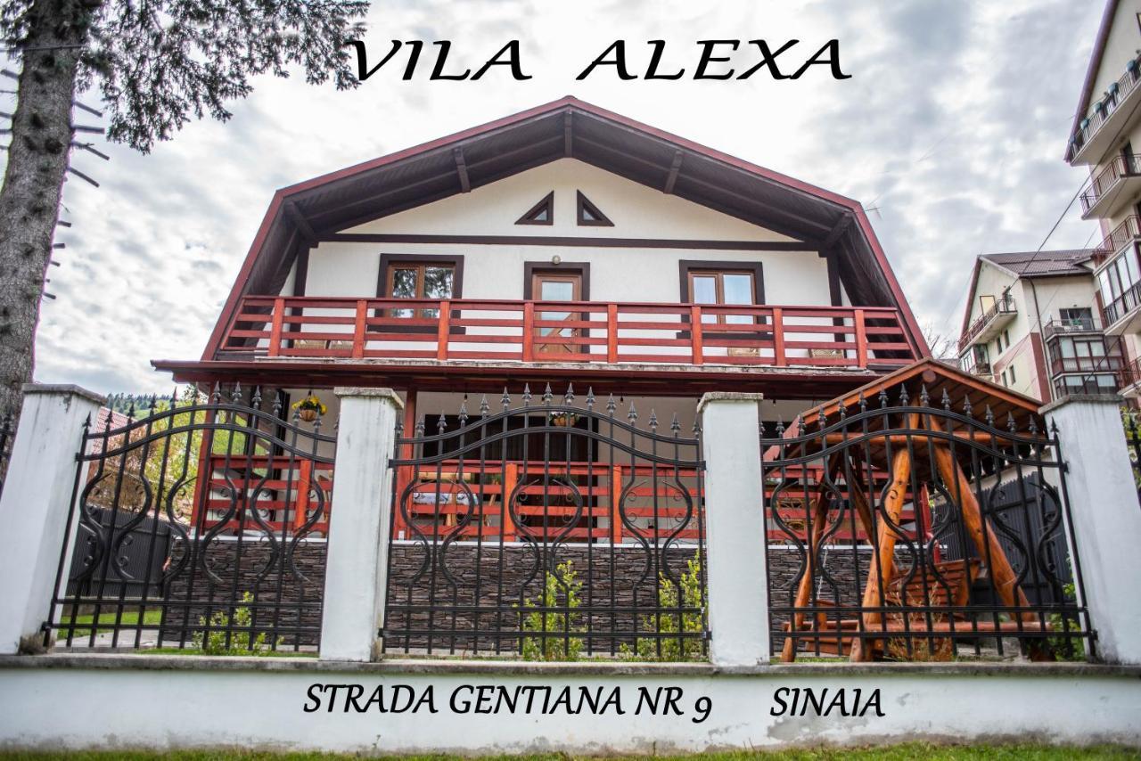 Willa Casa Alexa Sinaia Zewnętrze zdjęcie